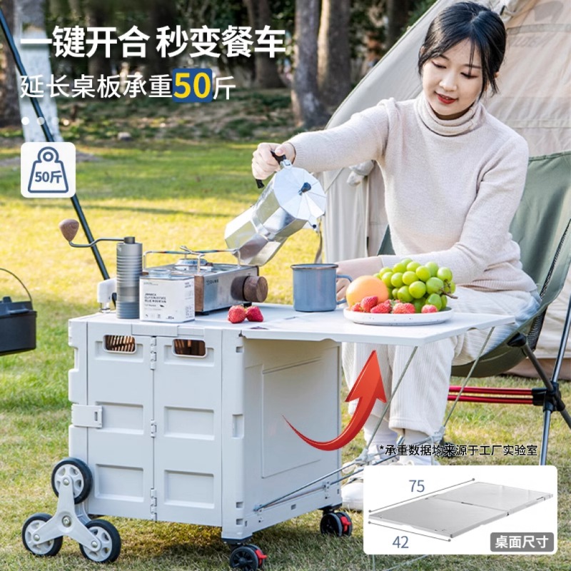 Shopping cart Small trolley Pi - Outdoor Lighting Expressions 评论和价格