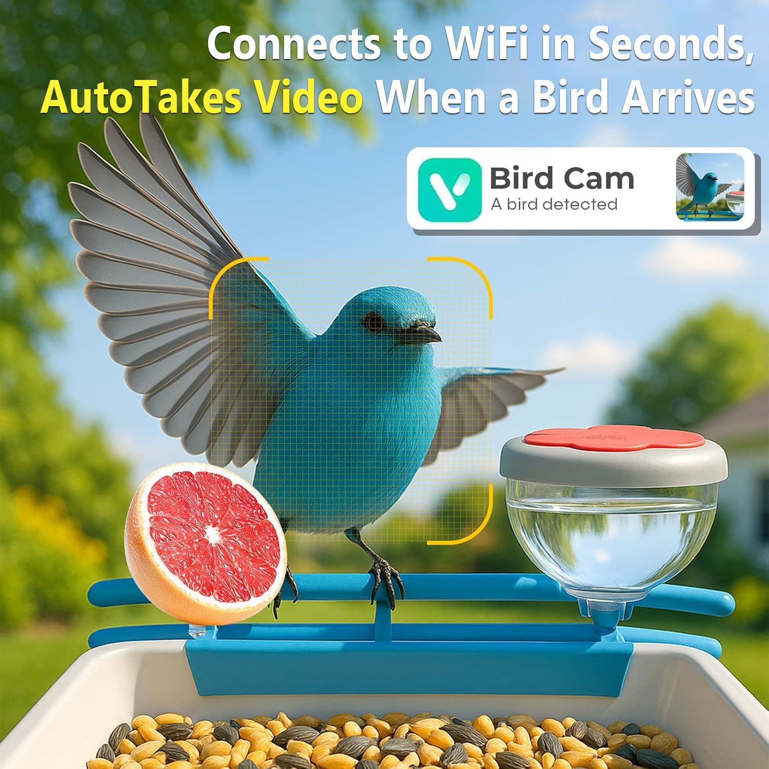 Smart Bird Feeder Camera 2K Li - Motion Sensor Outdoor 评论和价格